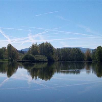 yabo888vip下载手机版